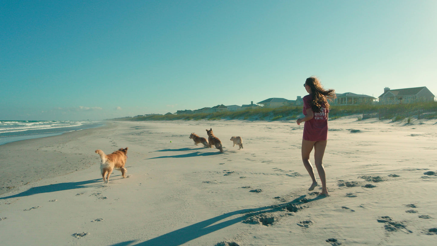 Coastal Collection Tee - Red Drum